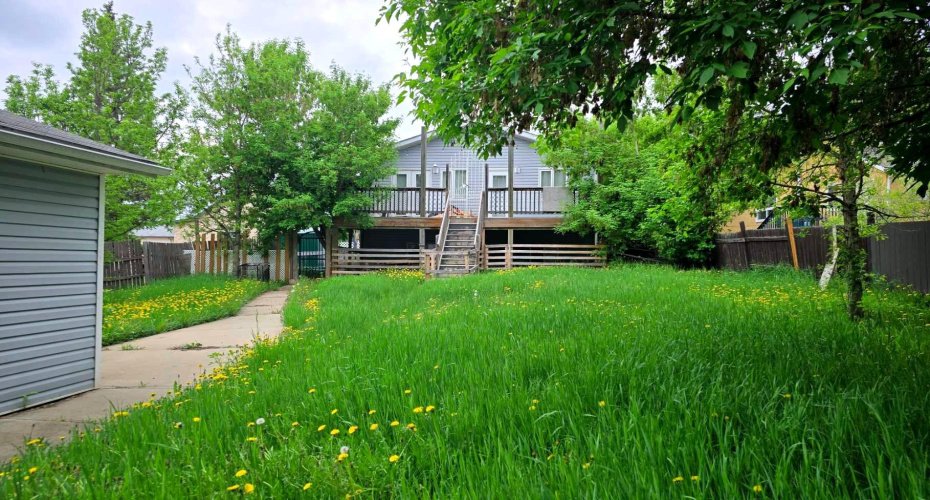 big back yard