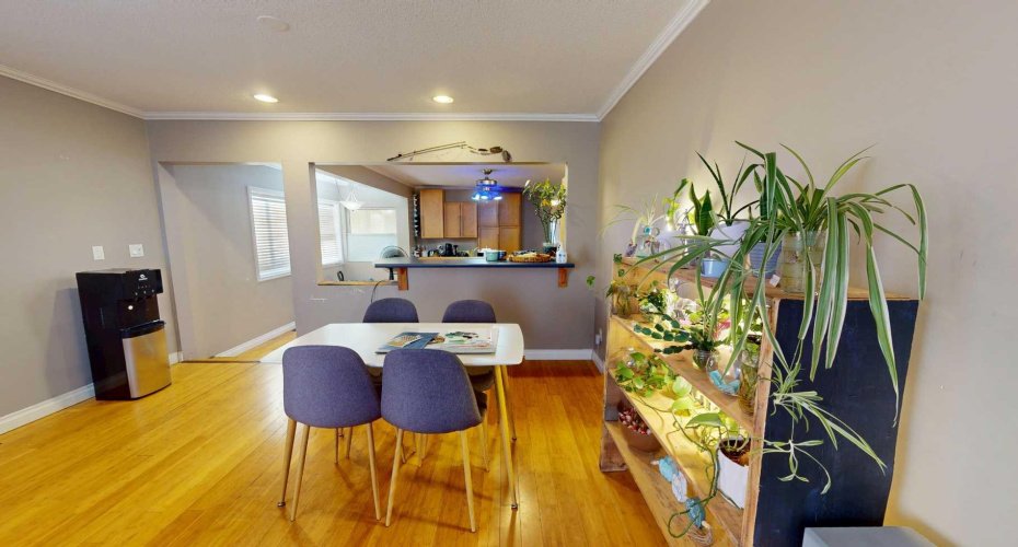 Dinning Area