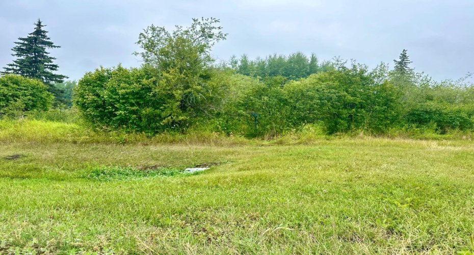 13221 TWP RD 680 Township, Lac La Biche, Alberta T0A 2C0, ,Land,For Sale,TWP RD 680,A2274252