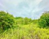 13221 TWP RD 680 Township, Lac La Biche, Alberta T0A 2C0, ,Land,For Sale,TWP RD 680,A2274252
