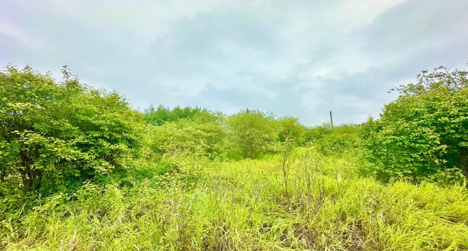 13221 TWP RD 680 Township, Lac La Biche, Alberta T0A 2C0, ,Land,For Sale,TWP RD 680,A2274252
