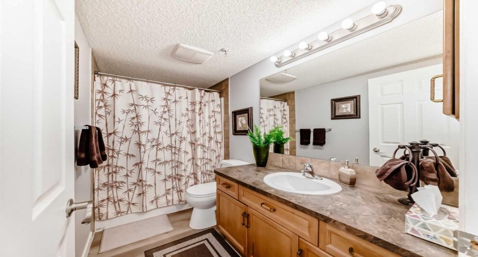 5200 44 Avenue, Calgary, Alberta T1Y 7L4, 2 Bedrooms Bedrooms, ,2 BathroomsBathrooms,Residential,For Sale,44,A2282351