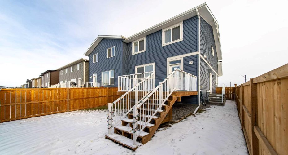 Full landscaped backyard