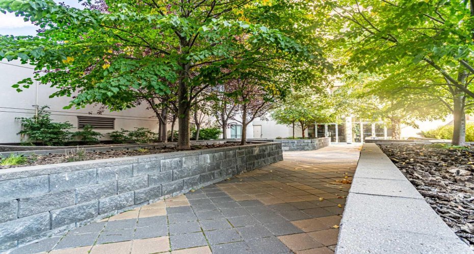 Courtyard between Stella and Nova