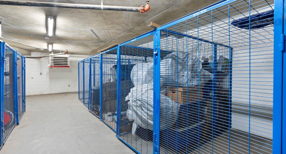 Separate, secure storage locker