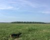 ON Highway 771, Rural Ponoka County, Alberta T0C 2J0, ,Agri-business,For Sale,Highway 771,A2283063