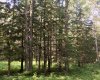 ON Highway 771, Rural Ponoka County, Alberta T0C 2J0, ,Agri-business,For Sale,Highway 771,A2283063