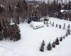 Lot #98 Hilliards Bay Estates, Rural Big Lakes County, Alberta T0G 1C0, ,Land,For Sale,Hilliards Bay Estates,A2282916