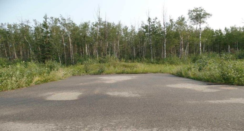 13348 672A Township, Lac La Biche, Alberta T0A 2C0, ,Land,For Sale,672A,A2284352