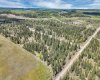 34364 Range Road 42, Rural Mountain View County, Alberta T0M 1X0, ,Land,For Sale,Range Road 42,A2284359