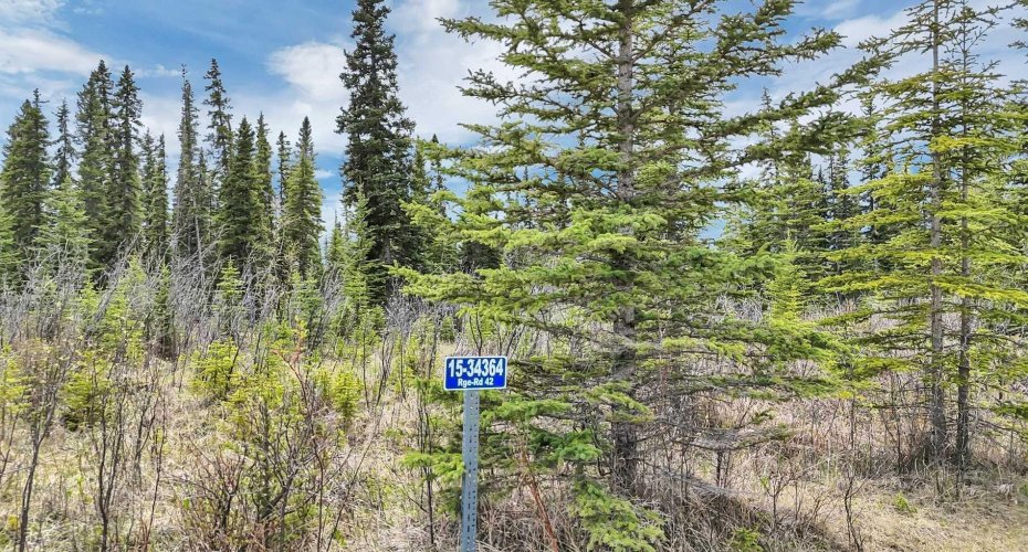 34364 Range Road 42, Rural Mountain View County, Alberta T0M 1X0, ,Land,For Sale,Range Road 42,A2284359