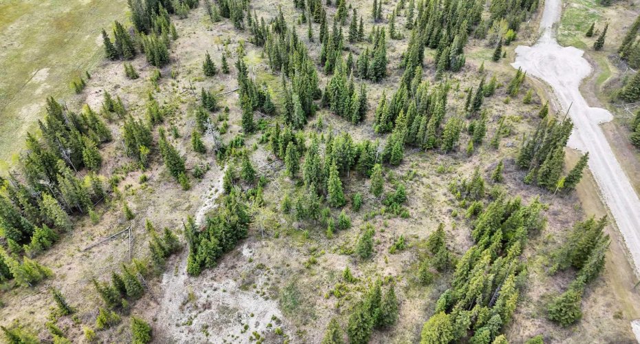 34364 Range Road 42, Rural Mountain View County, Alberta T0M 1X0, ,Land,For Sale,Range Road 42,A2284359