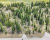 34364 Range Road 42, Rural Mountain View County, Alberta T0M 1X0, ,Land,For Sale,Range Road 42,A2284359