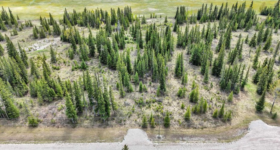 34364 Range Road 42, Rural Mountain View County, Alberta T0M 1X0, ,Land,For Sale,Range Road 42,A2284359