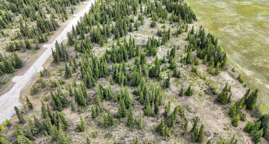34364 Range Road 42, Rural Mountain View County, Alberta T0M 1X0, ,Land,For Sale,Range Road 42,A2284359