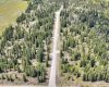 34364 Range Road 42, Rural Mountain View County, Alberta T0M 1X0, ,Land,For Sale,Range Road 42,A2284359