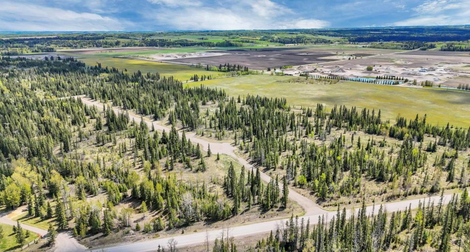 34364 Range Road 42, Rural Mountain View County, Alberta T0M 1X0, ,Land,For Sale,Range Road 42,A2284359