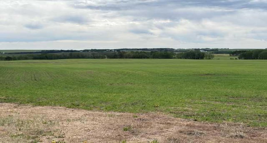 29419 Range Road 45, Rural Mountain View County, Alberta T0M 2E0, ,Land,For Sale,Range Road 45,A2283560