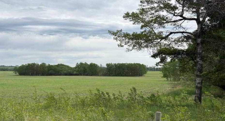 29419 Range Road 45, Rural Mountain View County, Alberta T0M 2E0, ,Land,For Sale,Range Road 45,A2283560