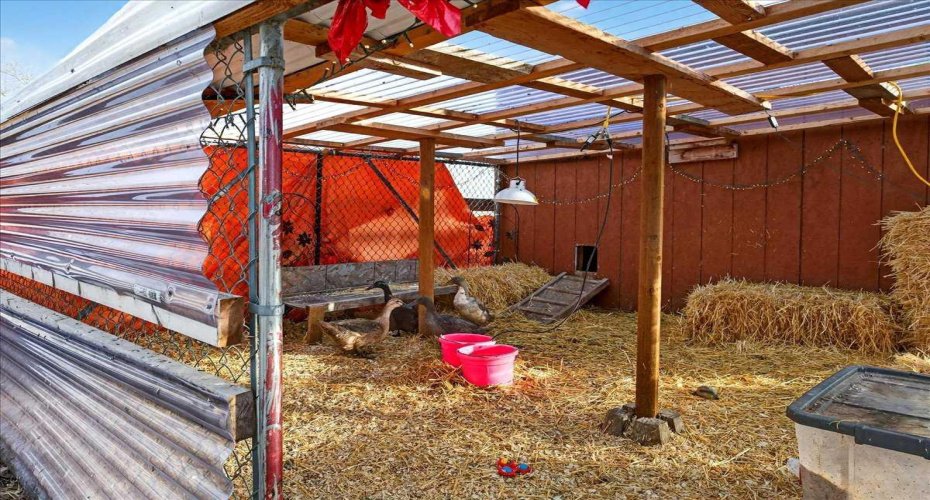 Chicken/Duck Coop