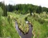 55421 RR 184, Rural Yellowhead County, Alberta T7E 1T5, 2 Bedrooms Bedrooms, ,1 BathroomBathrooms,Residential,For Sale,55421 RR 184,A2284364