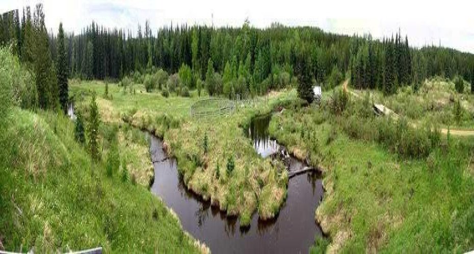 55421 RR 184, Rural Yellowhead County, Alberta T7E 1T5, 2 Bedrooms Bedrooms, ,1 BathroomBathrooms,Residential,For Sale,55421 RR 184,A2284364