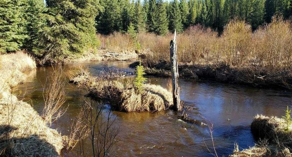 55421 RR 184, Rural Yellowhead County, Alberta T7E 1T5, 2 Bedrooms Bedrooms, ,1 BathroomBathrooms,Residential,For Sale,55421 RR 184,A2284364