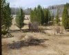 55421 RR 184, Rural Yellowhead County, Alberta T7E 1T5, 2 Bedrooms Bedrooms, ,1 BathroomBathrooms,Residential,For Sale,55421 RR 184,A2284364