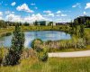 Pond and pathways