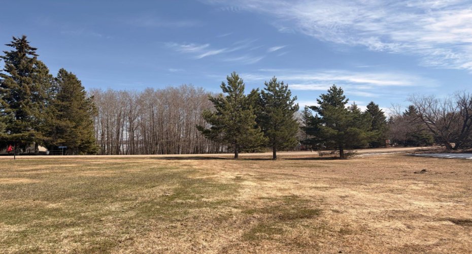 159 Shank Drive, Island Lake South, Alberta T9S 1N1, ,Land,For Sale,Shank,A2284612