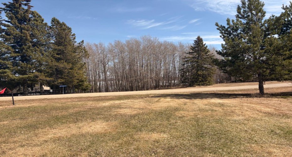 159 Shank Drive, Island Lake South, Alberta T9S 1N1, ,Land,For Sale,Shank,A2284612