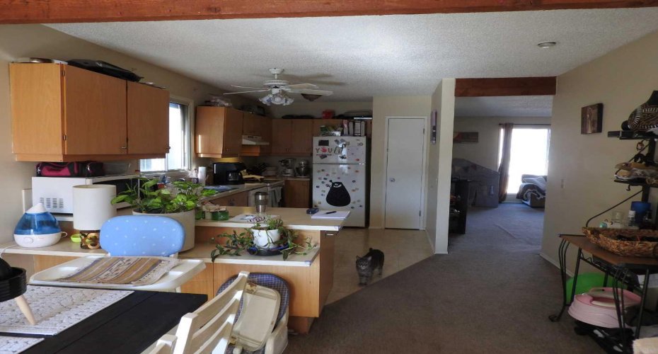 129 32 Avenue, Calgary, Alberta T2M 2P7, 6 Bedrooms Bedrooms, ,3 BathroomsBathrooms,Residential,For Sale,32,A2284549