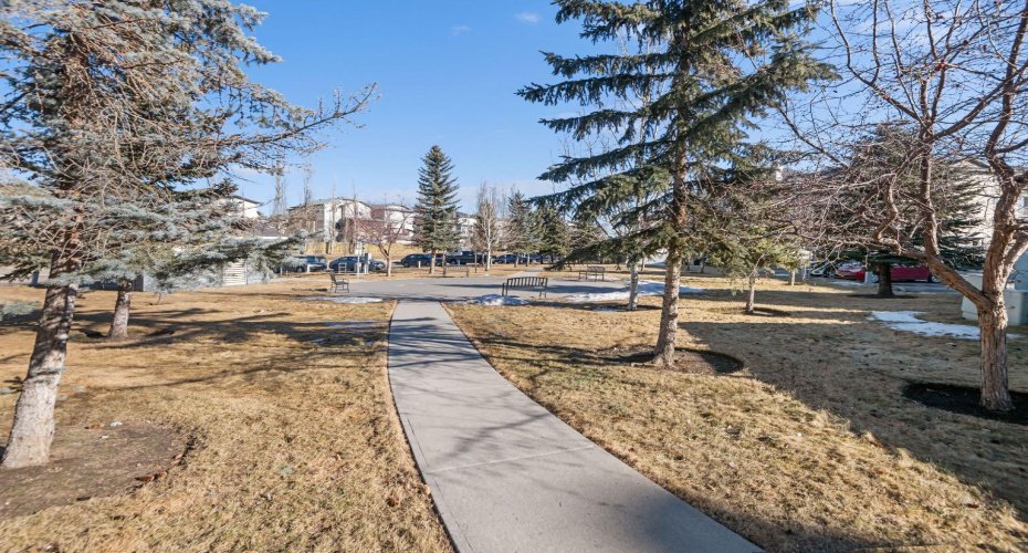 1620 70 Street, Calgary, Alberta T2A 7Z2, 1 Bedroom Bedrooms, ,1 BathroomBathrooms,Residential,For Sale,70,A2285231