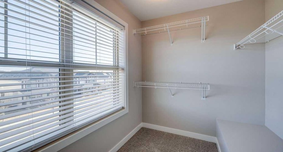 primary walk-in closet