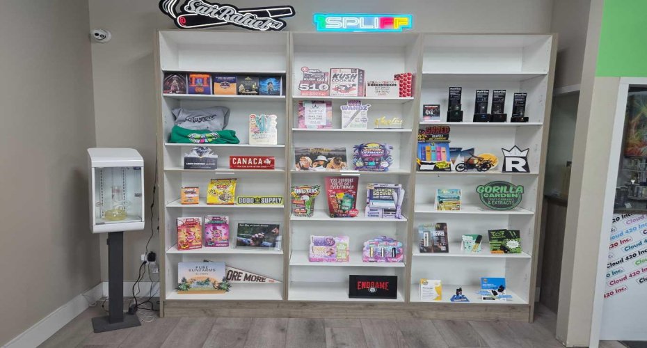 11125 38 Street, Calgary, Alberta T3N 1P3, ,Commercial,For Lease,38,A2278725