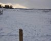 Range Road 14 Big Hill Springs, Rural Rocky View County, Alberta T0T 0T0, ,Land,For Sale,Big Hill Springs,A2281303