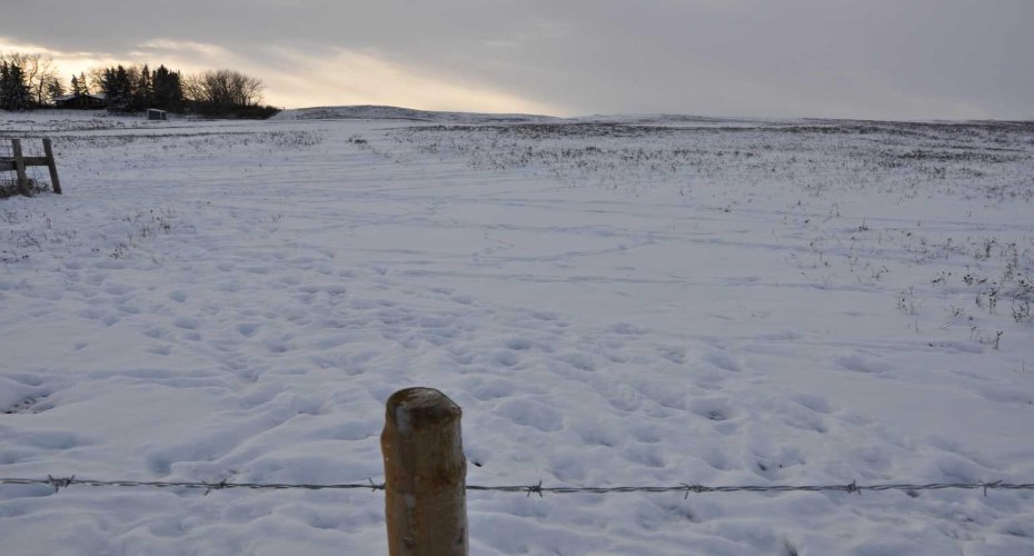 Range Road 14 Big Hill Springs, Rural Rocky View County, Alberta T0T 0T0, ,Land,For Sale,Big Hill Springs,A2281303