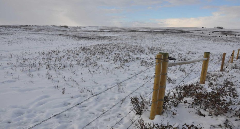 Range Road 14 Big Hill Springs, Rural Rocky View County, Alberta T0T 0T0, ,Land,For Sale,Big Hill Springs,A2281303