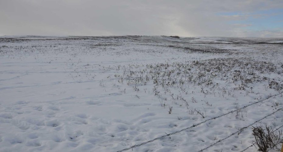 Range Road 14 Big Hill Springs, Rural Rocky View County, Alberta T0T 0T0, ,Land,For Sale,Big Hill Springs,A2281303