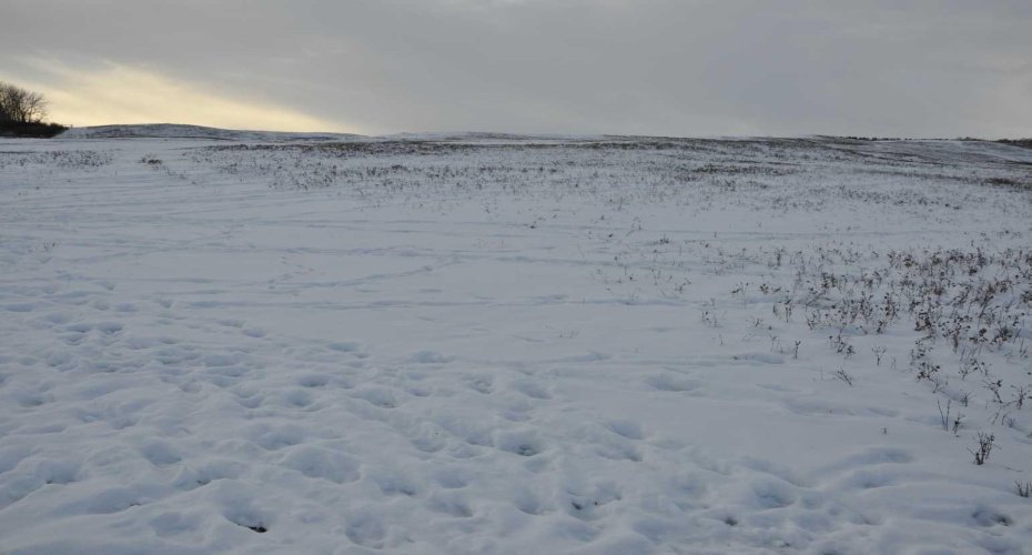 Range Road 14 Big Hill Springs, Rural Rocky View County, Alberta T0T 0T0, ,Land,For Sale,Big Hill Springs,A2281303