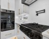 Pot Filler, Window Backsplash,