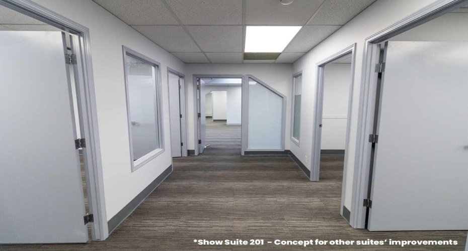 Show Suite 201 - Concept for other suites' improvements