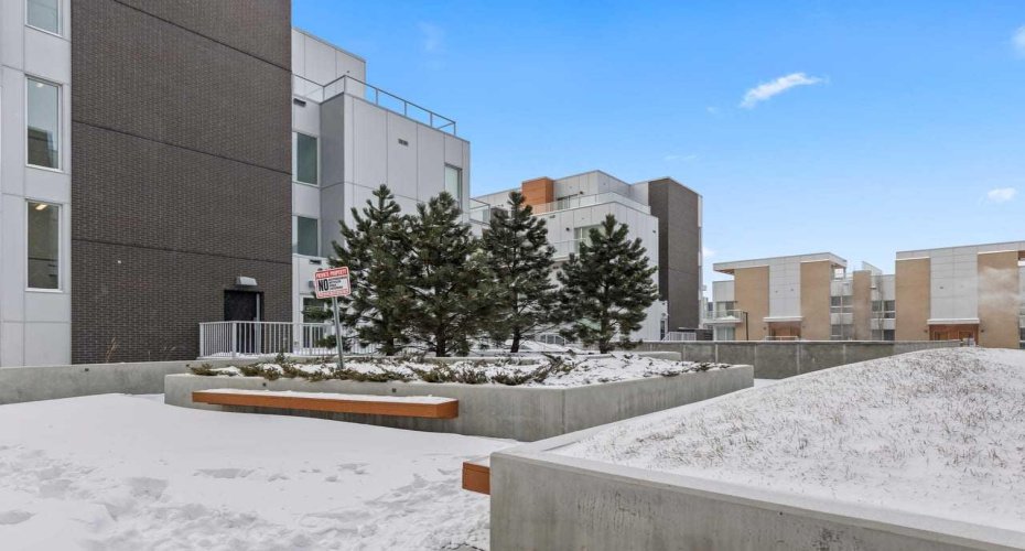 Building Grounds