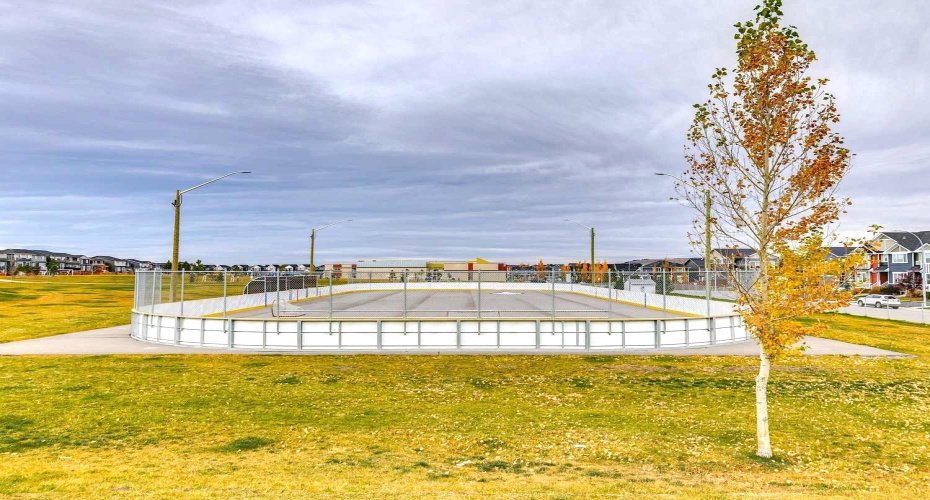 Summer Community Photo