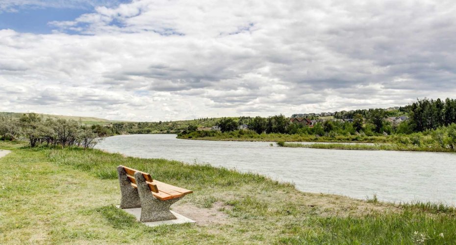 Summer Community Photo