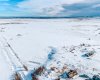 45063A 734 Township, Sexsmith, Alberta T0H 3C0, ,Land,For Sale,734,A2287966