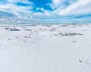 Pt. NW-19-73-4-W6 734 Township, Sexsmith, Alberta T0H 3C0, ,Agri-business,For Sale,734,A2288031