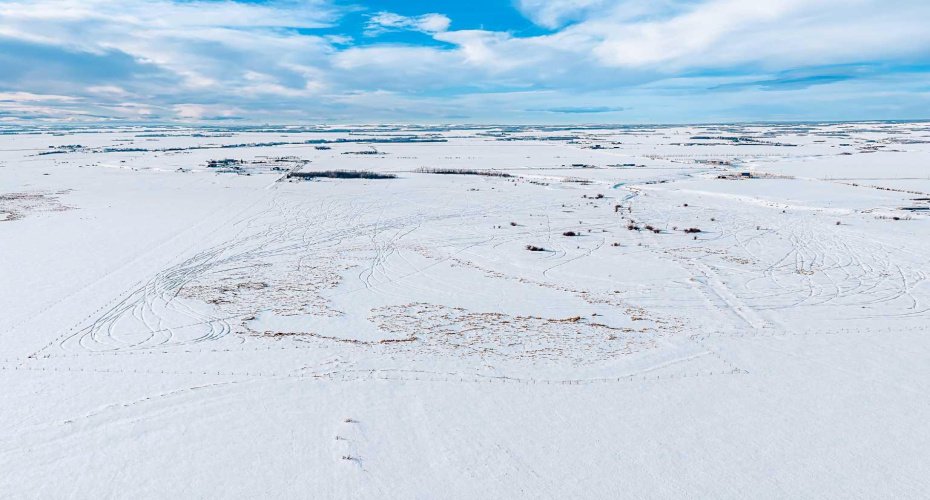 Pt. NW-19-73-4-W6 734 Township, Sexsmith, Alberta T0H 3C0, ,Agri-business,For Sale,734,A2288031
