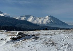 From 17 Ave to 20 Ave, Coleman, Alberta T0K 0M0, ,Land,For Sale,to 20 Ave,A2287970