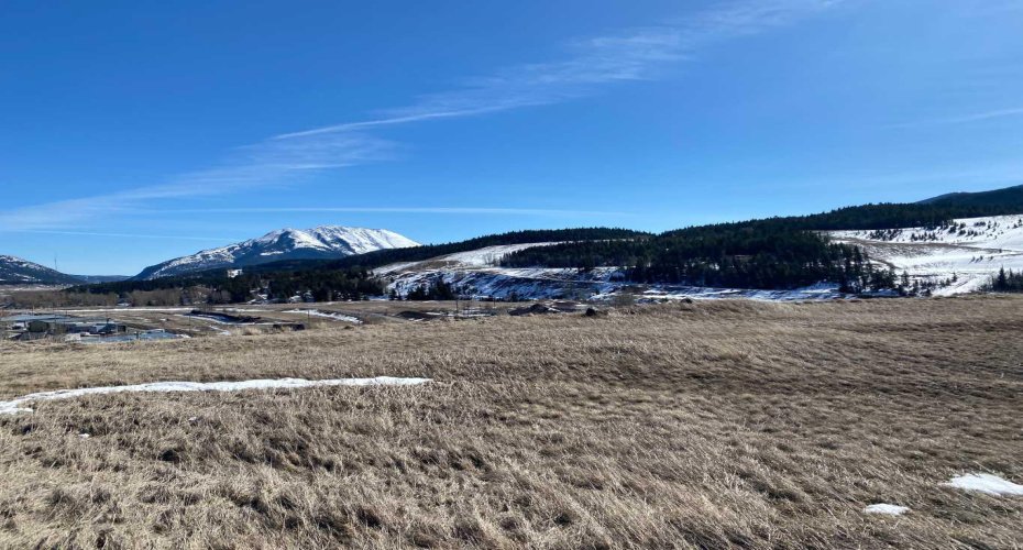 From 17 Ave to 20 Ave, Coleman, Alberta T0K 0M0, ,Land,For Sale,to 20 Ave,A2287970